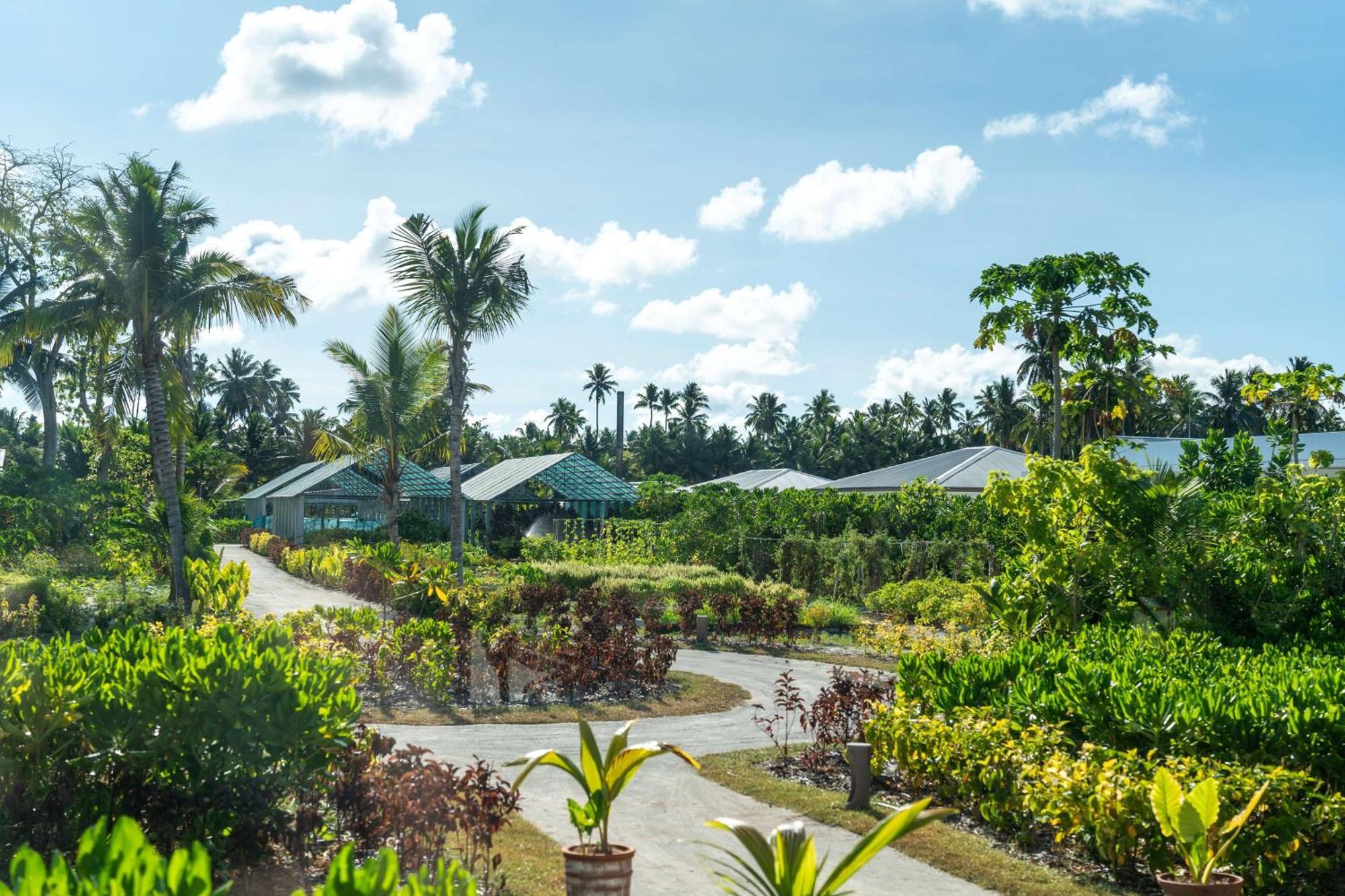 מלון Waldorf Astoria Seychelles Platte Island מראה חיצוני תמונה